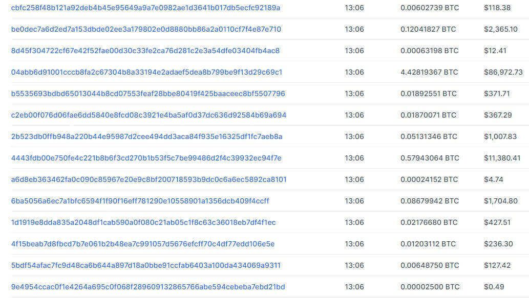 Is Bitcoin Traceable? Screenshot of the Blockchain Explorer 