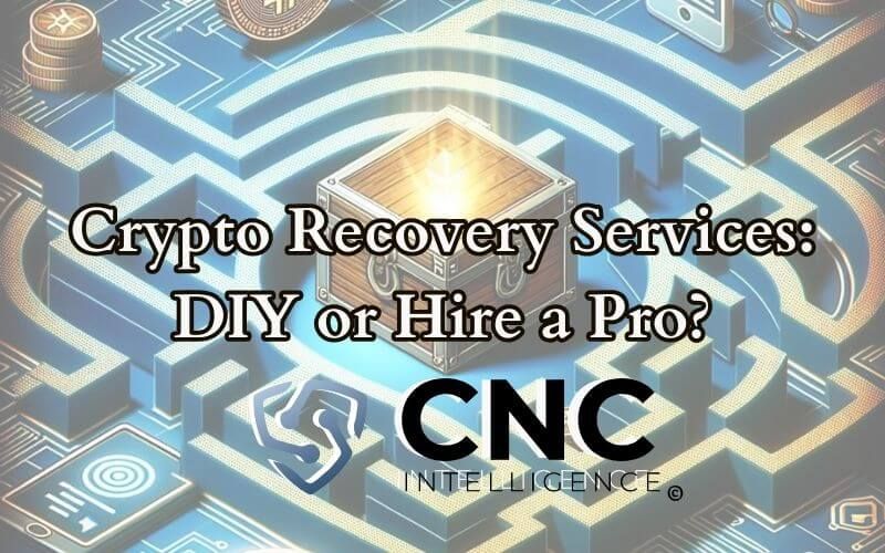 Crypto Recovery Services: DIY or Hire a Pro?