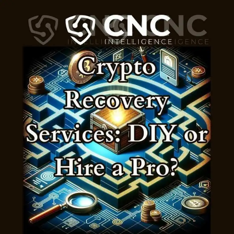 Crypto Recovery Services: DIY or Hire a Pro?